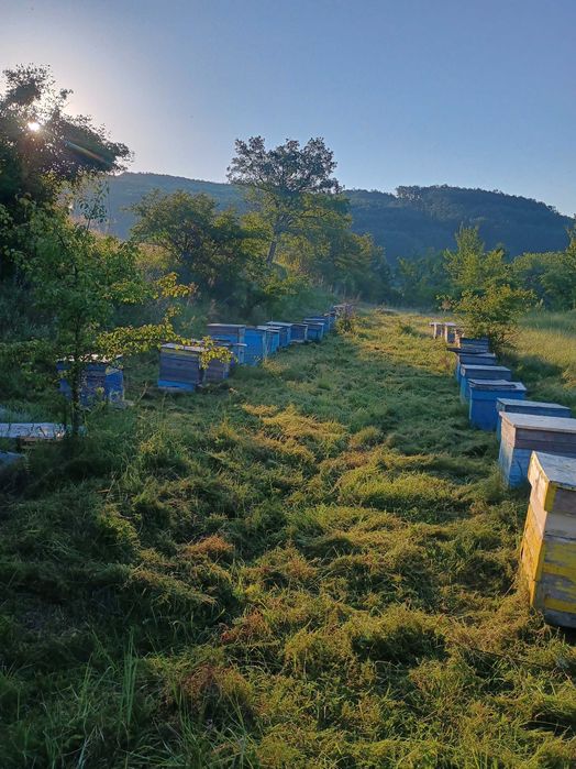 Продава се Земеделски имот в с. Водица, Област Търговище -  кв.м за 1224 €/дка - Снимка #1