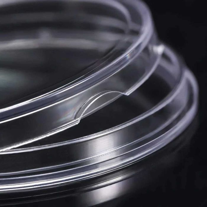 3 seturi Capsule monede cu dimensiunea de 18/20/22/25/27/30/39/41 mm