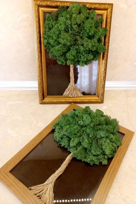 декорация със Скандинавски мъх