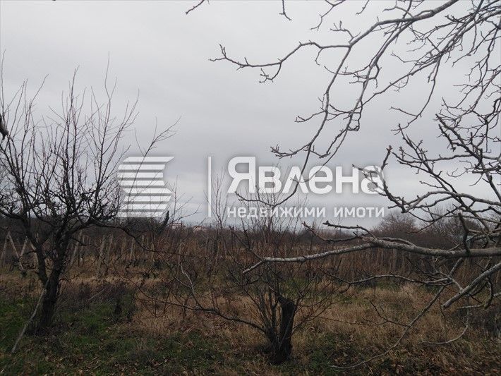 Продава се Парцел в Царево - 971 кв.м за 39 €/кв.м - Снимка #6