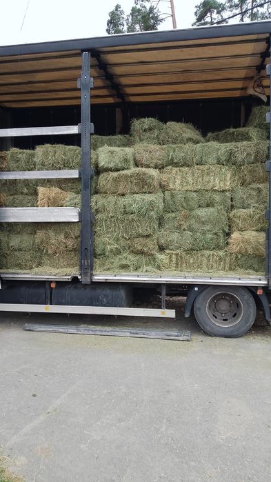 Baloti:Lucerna.Trifoi.Fan.Lolium.Rotunzi min 40.Drept.500.Trans.inclus