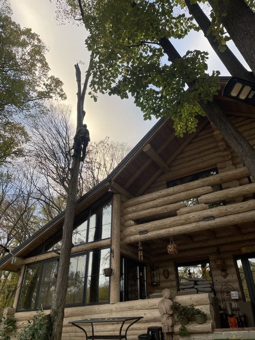 Taieri copaci. Toaletare copaci. Doborare Copaci. Servicii Alpinisti