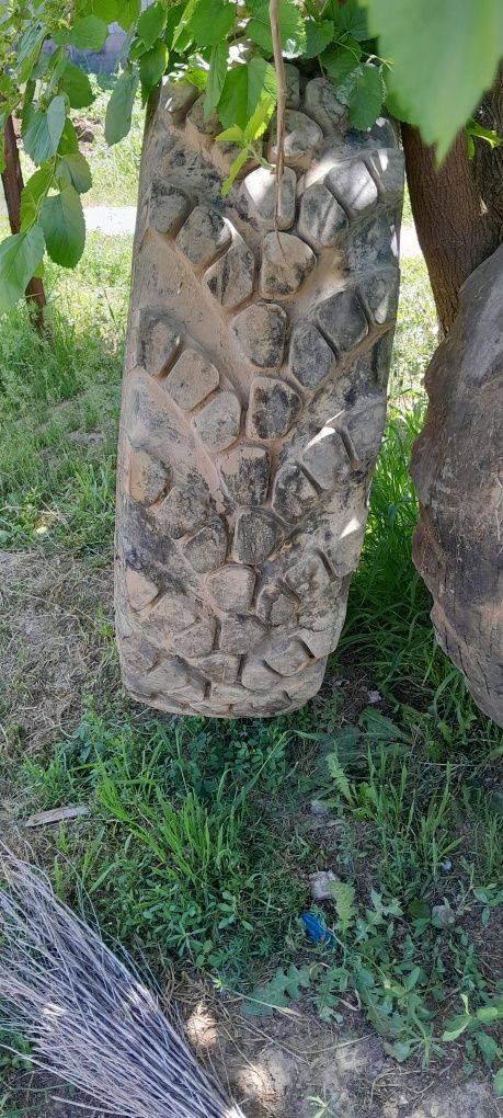 Урал Болан, дөңгелек