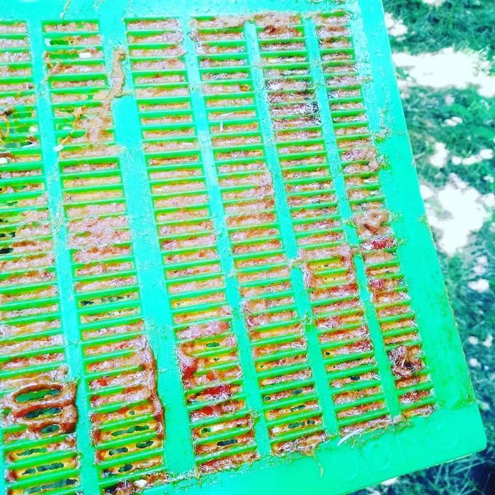 Vand propolis brut- Propolis (Kit Pszczeli) – Comandă minimă: 10 kg
