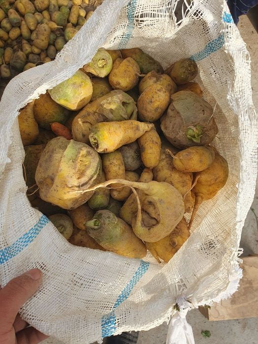 Sabzi сабзи Марков