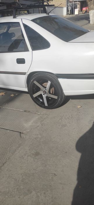 17 saka diska vossen