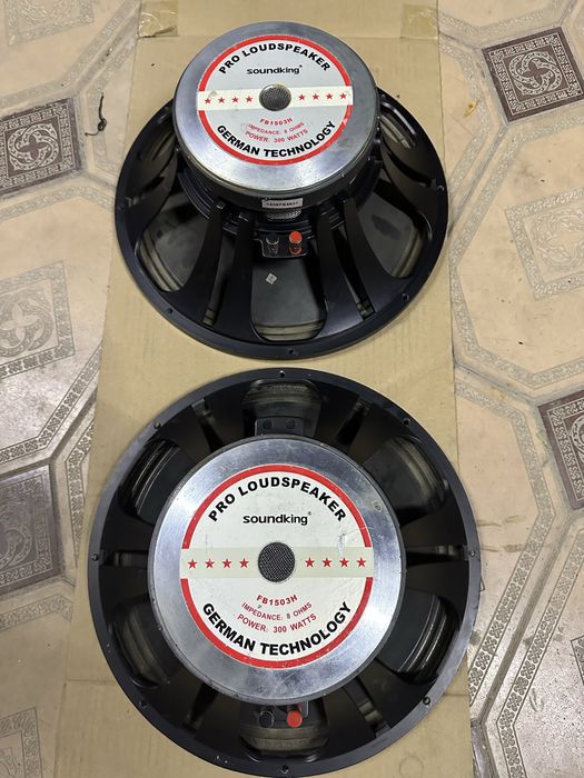 Динамики Saundking 15