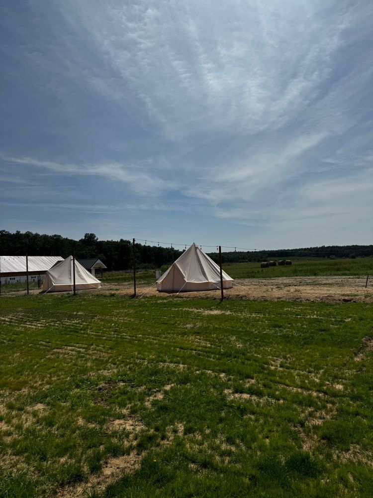 Forest Camping - liniste si natura, aproape de Oradea
