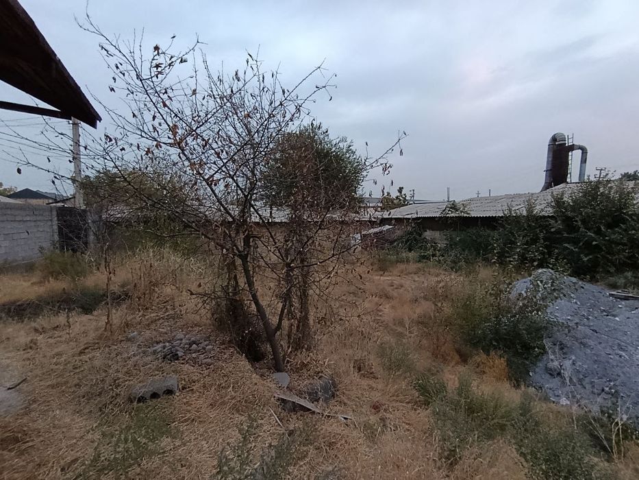 13 соток Старые сергели вдоль дороги