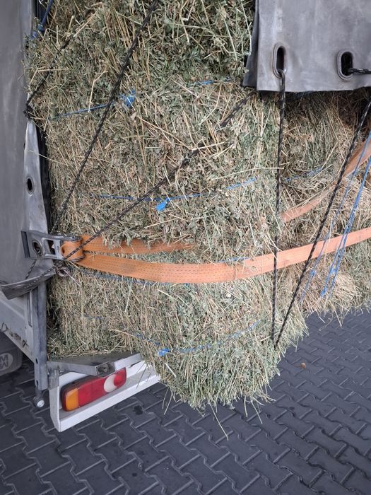 Vand baloti de Lucerna fan productie 2025 transport la domicilu