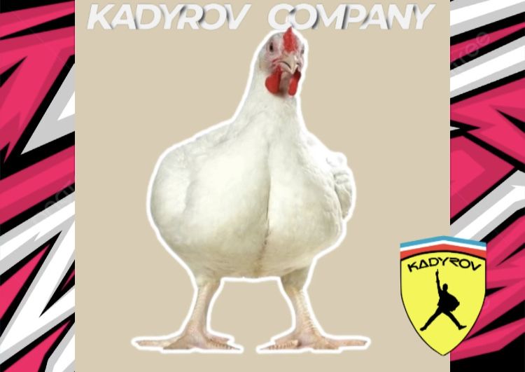 Бройлеры РОСС 308: идеальны для фермеров и домашних хозяйств!