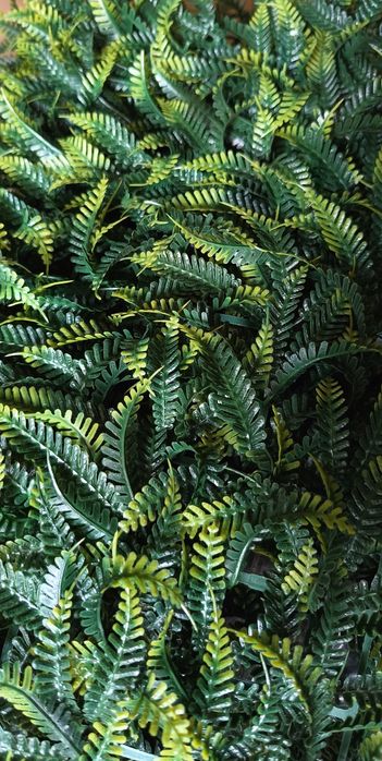 Gard artificial 40 x 40 cm