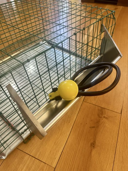 Cusca prepelite noua