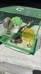 Colivie hamster cu accesorii
