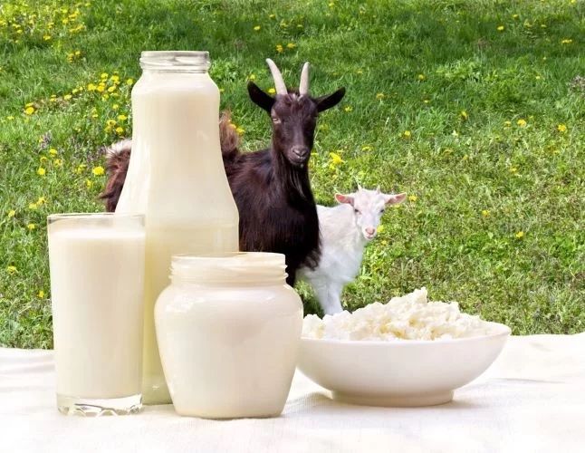 Lapte de capra 100% natural