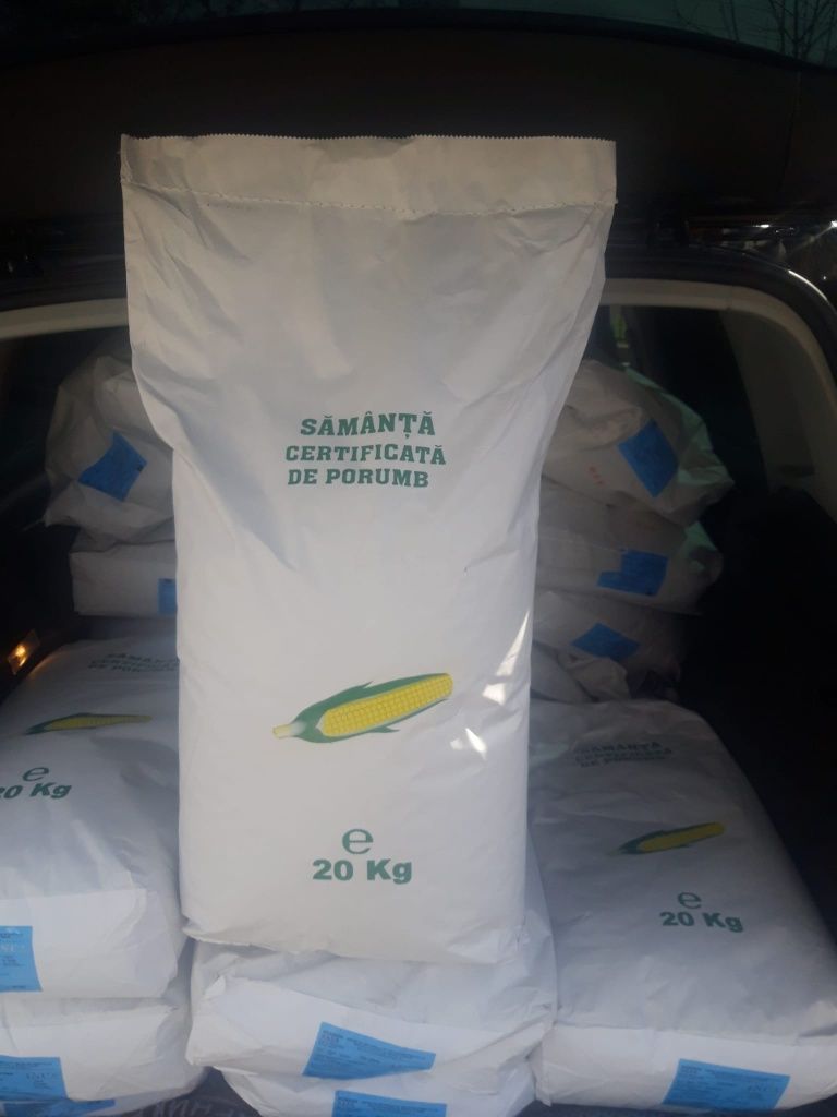 Samanta Porumb Certificat pt SILOZ sac 70/85.000 plante