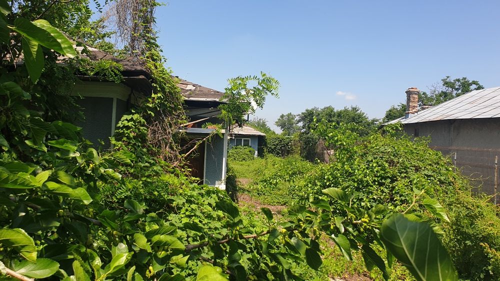 Teren intravilan 1600mp Vidra(Berceni)