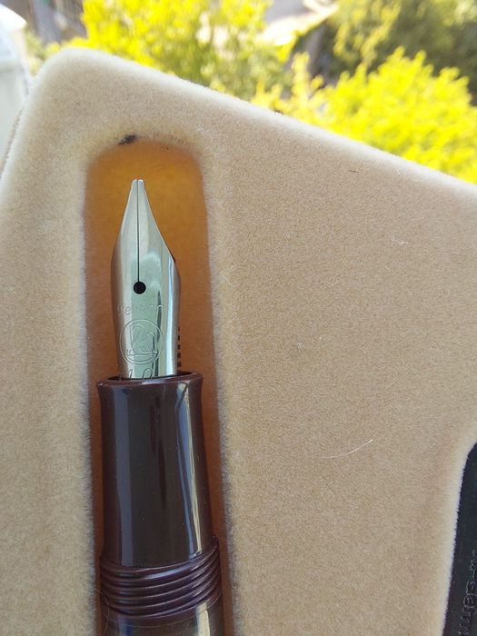 Pelikan stilou NOU