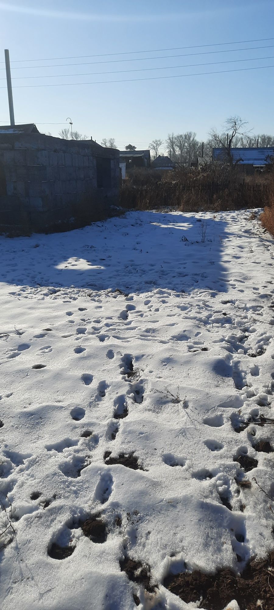 Дача на бабровке