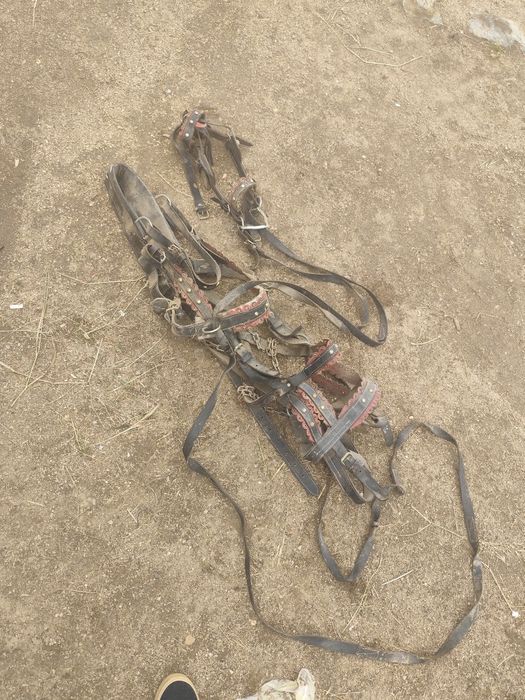 Se vinde ham complect de ponei este folosit de doua ori arata foarte b