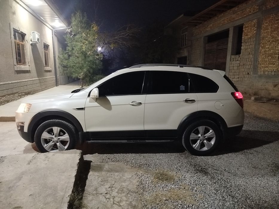 Mowin uzimniki holati zur