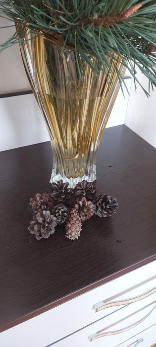 Продам сосновные шишки.10 штук -200 тенге