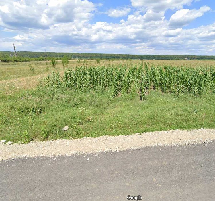 Teren de vanzare.3200mp Documente la zi.  Anunt valabil !!!