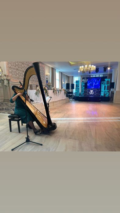 Harpă la evenimente