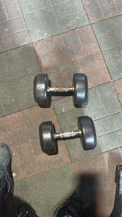 Gantere profesionale de 17,5 kg