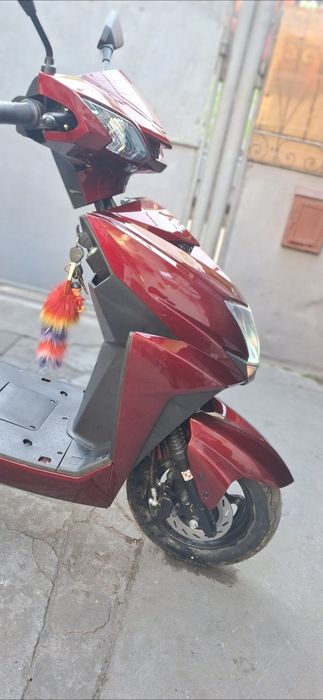 Scuter vs1 2024 Volta