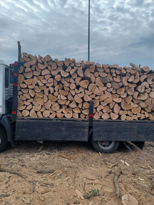 Lemn de foc FAG/CARPEN calitatea 1