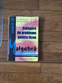 Culegere probleme algebra 9-12 Nita Nastasescu Brandiburu