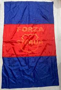 Steag ”Forza Steaua”