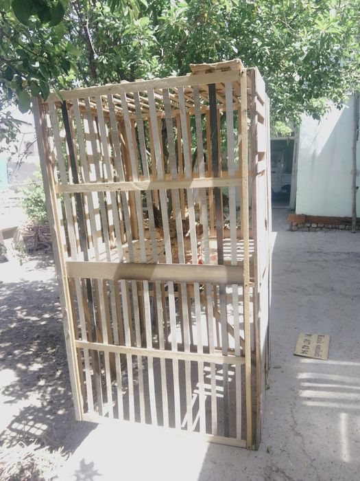 Tavuq xórozlarga kataklar sotiladi