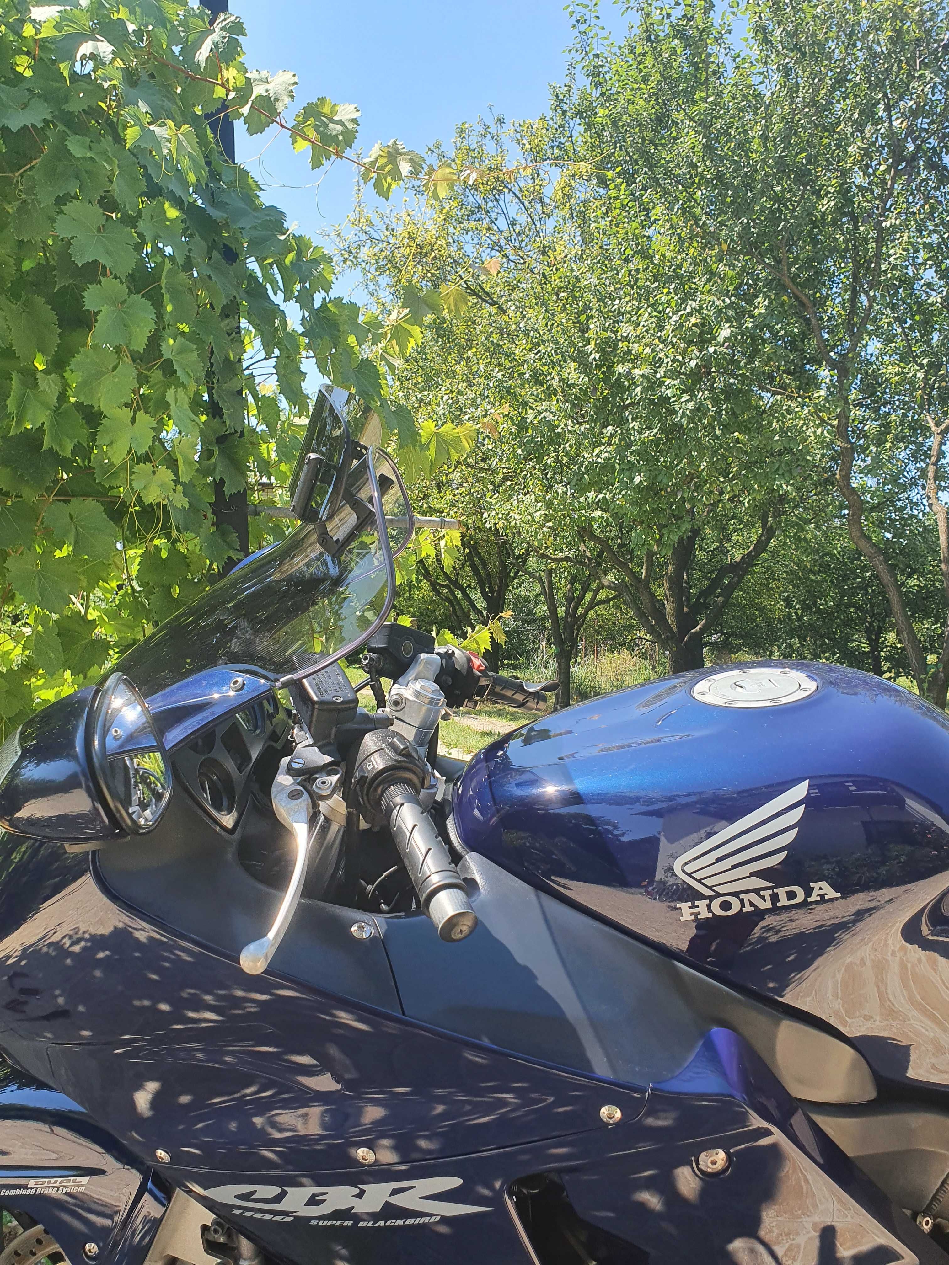 Honda Blackbird XX