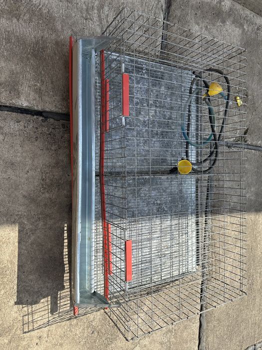 Cusca prepelite capacitate 50