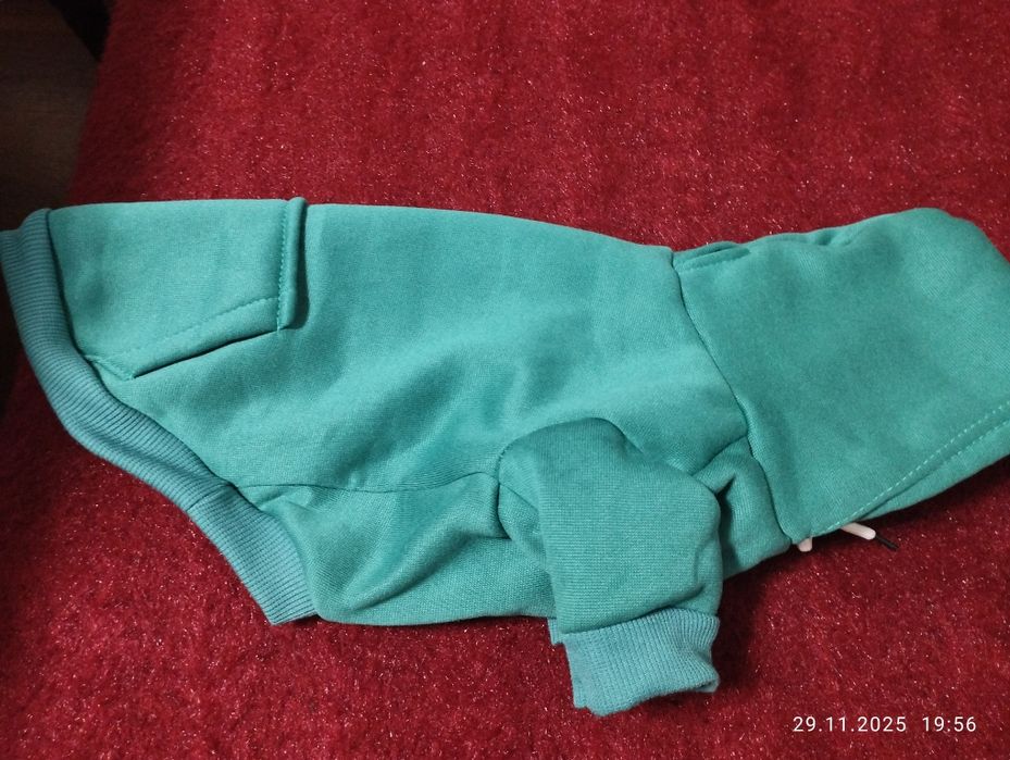 Зимни дрехи за куче