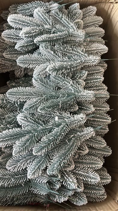 Crenguțe brad ninse 50buc