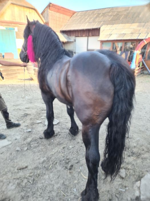 Vand sau Schimb Harmasar semi greu