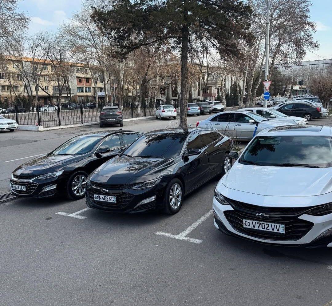 Rent Car/Rent a car/Прокат Авто/Рент Кар Авто прокат/Кунлик Ижара/car