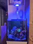 Vând acvariu reef novo fusion 10 complet cu stand