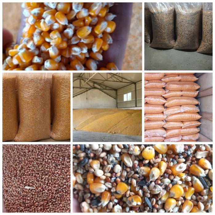 Vindem cereale din campania 2025