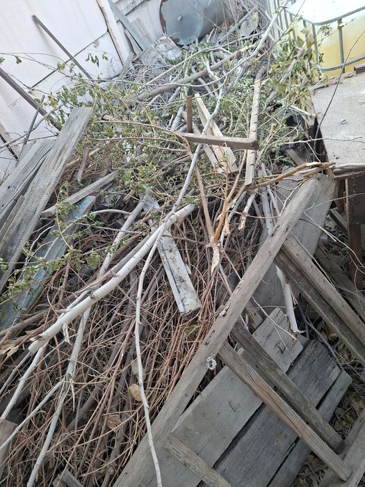 Утинлар доставка билан