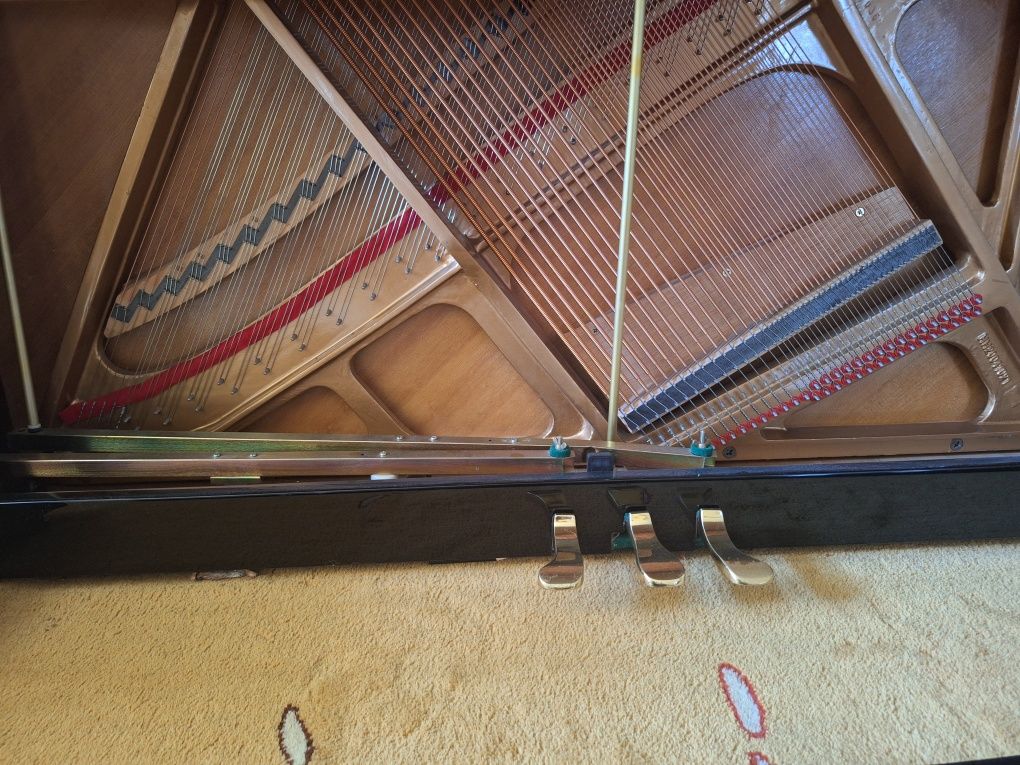 Pianina Ritmüler