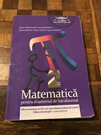 Culegere Matematica M2