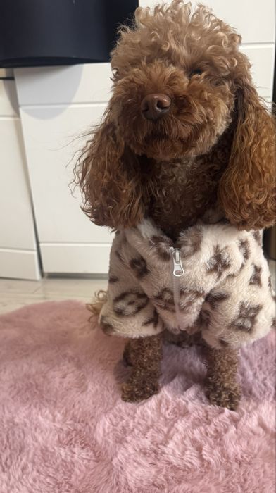 Продавам нови кучешки дрехи,кучешко елече, кучешки дъждобран