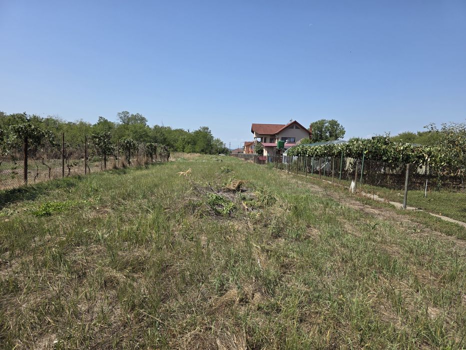 Teren intravilan strada Muncii