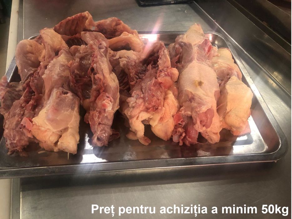 Oase pui, os pui, mancare animale