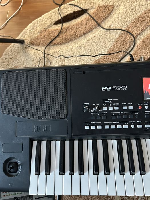 Orga pa300+husa+set inclus