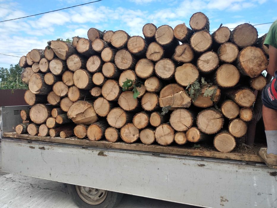 De vanzare  300lei m ster